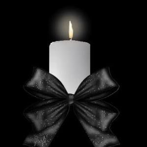 Meet your Posher, Reyna